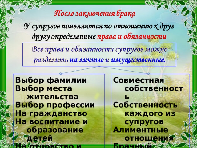 Выбор фамилии Выбор места жительства Выбор профессии На гражданство На воспитание и образование детей На отцовство и материнство Совместная собственность Собственность каждого из супругов Алиментные отношения Брачный договор 