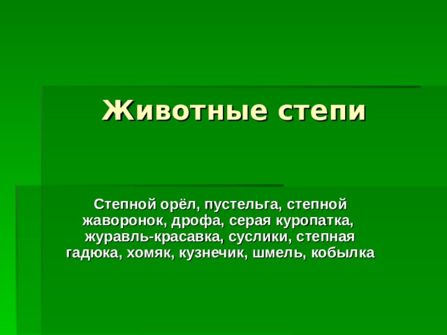 Животные степи Степной орёл, пустельга, степной жаворонок, дрофа, серая куропатка, журавль-красавка, суслики, степная гадюка, хомяк, кузнечик, шмель, кобылка 