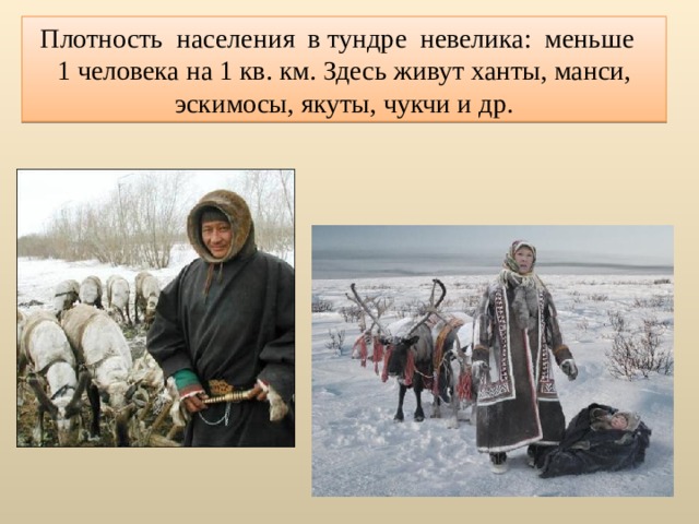 Плотность населения в тундре невелика: меньше 1 человека на 1 кв. км. Здесь живут ханты, манси, эскимосы, якуты, чукчи и др. 