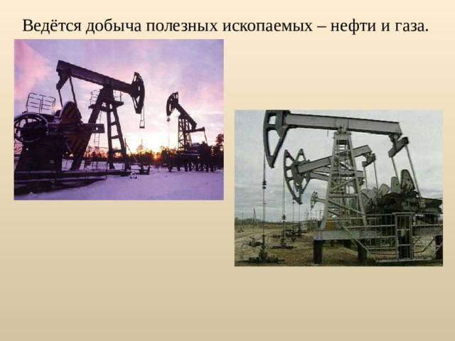 Ведётся добыча полезных ископаемых – нефти и газа. 