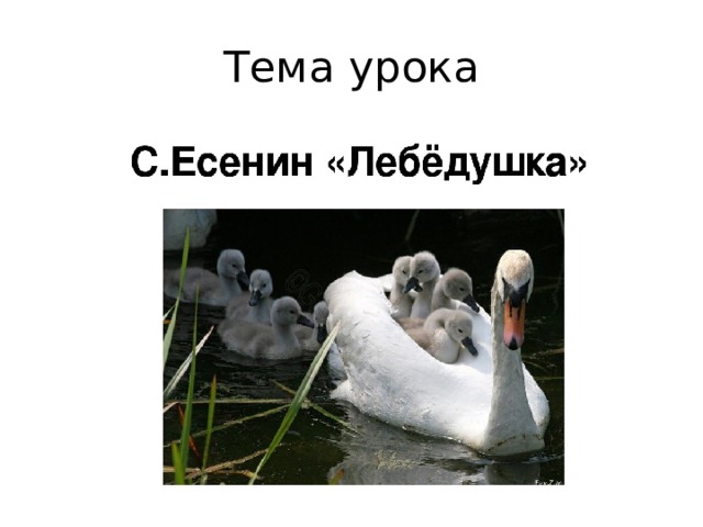 План произведения лебедушка