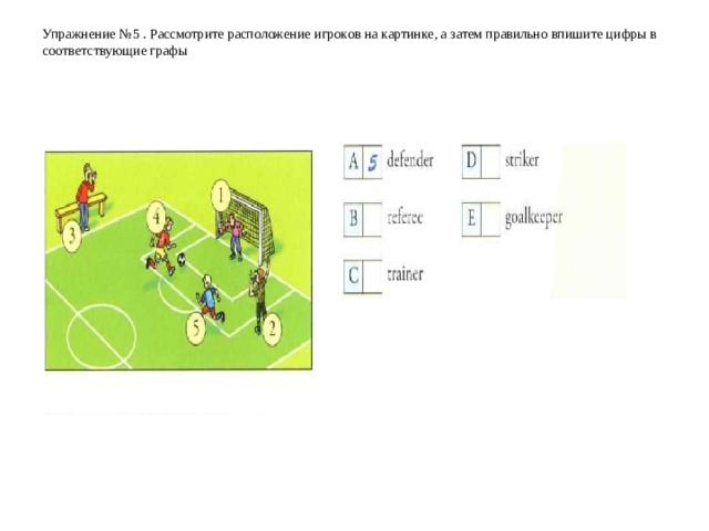 Упражнение № 5  . Рассмотрите расположение игроков на картинке, а затем правильно впишите цифры в соответствующие графы    