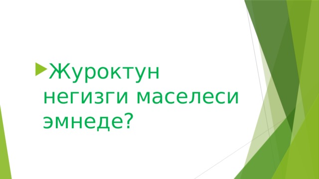 Журоктун негизги маселеси эмнеде? 