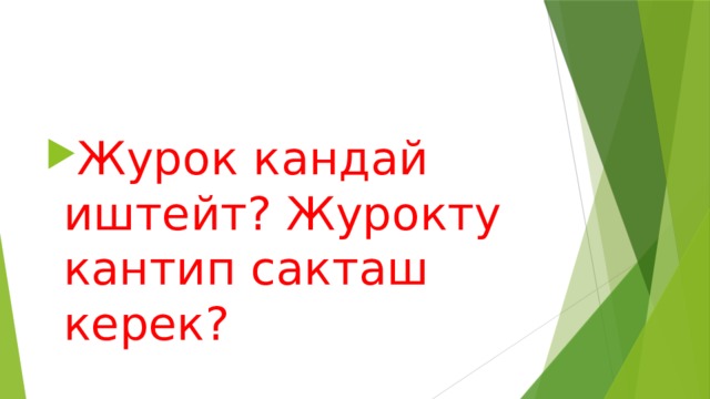 Журок кандай иштейт? Журокту кантип сакташ керек?  