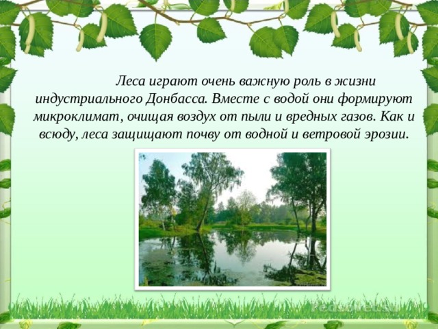  Леса играют очень важную роль в жизни индустриального Донбасса. Вместе с водой они формируют микроклимат, очищая воздух от пыли и вредных газов. Как и всюду, леса защищают почву от водной и ветровой эрозии. 