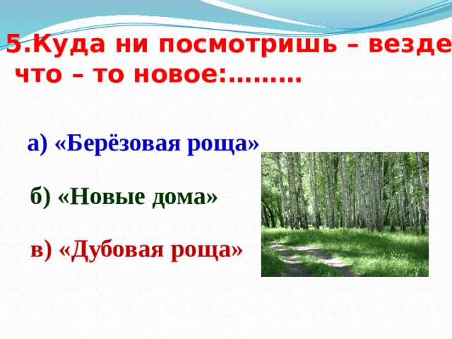 5.Куда ни посмотришь – везде  что – то новое:……… а) «Берёзовая роща» б) «Новые дома» в) «Дубовая роща» 