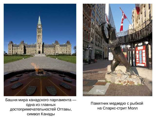 The city has many parks, museums and monuments. Ottawa is visited by many tourists. В городе много парков, музеев и памятников. Оттаву посеща ю т много туристов. Башня мира канадского парламента — одна из главных достопримечательностей Оттавы, символ Канады Памятник медведю с рыбкой на Спаркс-стрит Молл  
