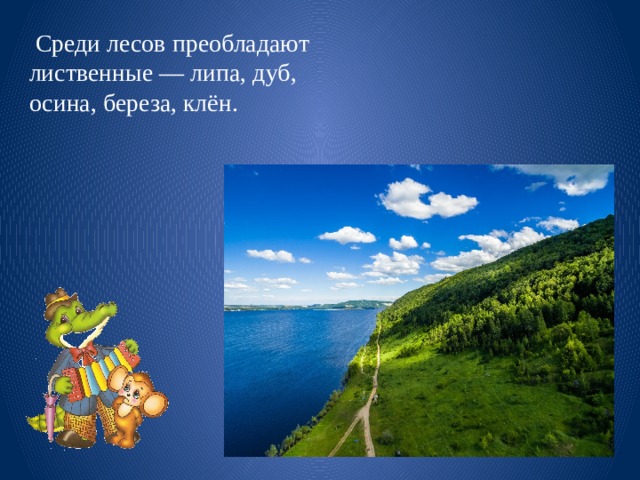 Среди лесов преобладают лиственные — липа, дуб, осина, береза, клён. 