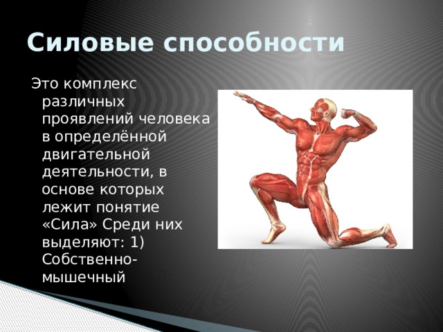 Силовые возможности. Силовые качества человека. Силовые способности. Силовые способности человека. Силовые способности это комплекс различных проявлений человека.