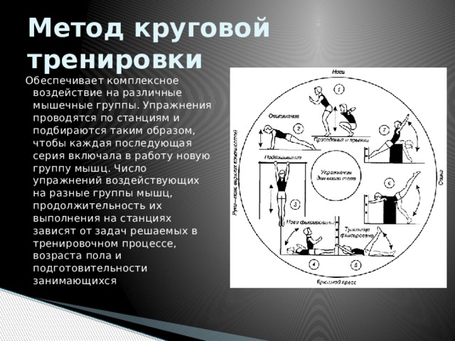 План конспект по круговой тренировке