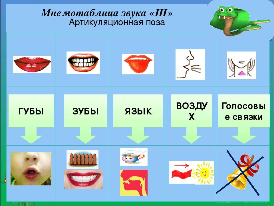 Автоматизация звука ш презентация