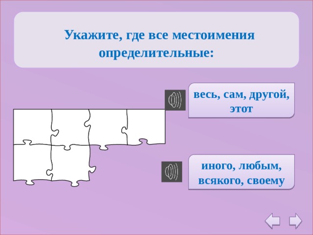   Укажите, где все местоимения определительные:  весь, сам, другой, этот иного, любым, всякого, своему 