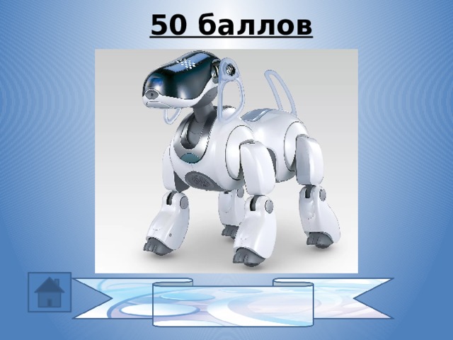 50 баллов Aibo 