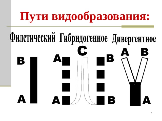 Пути видообразования:  