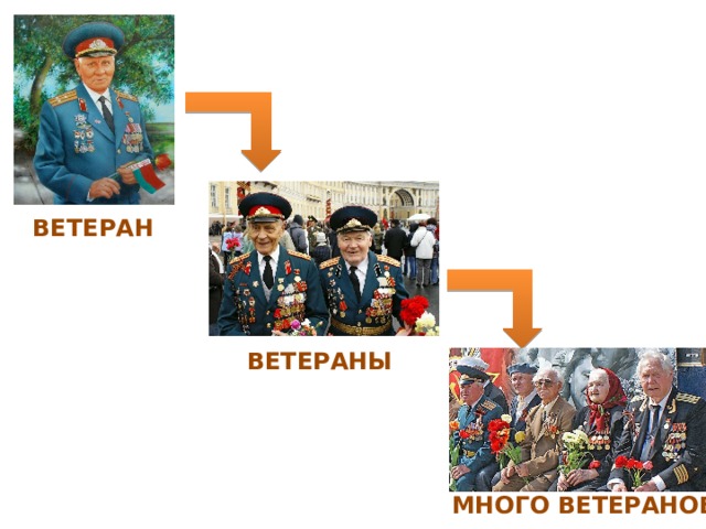 ВЕТЕРАН ВЕТЕРАНЫ МНОГО ВЕТЕРАНОВ 