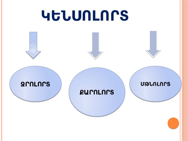 ԿԵՆՍՈԼՈՐՏ ՋՐՈԼՈՐՏ ՄԹՆՈԼՈՐՏ ՔԱՐՈԼՈՐՏ 