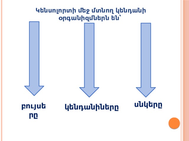 Կենսոլորտի մեջ մտնող կենդանի օրգանիզմներն են՝ սնկերը բույսերը կենդանիները 