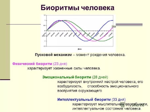 Что такое биологические ритмы обж кратко. Смотреть фото Что такое биологические ритмы обж кратко. Смотреть картинку Что такое биологические ритмы обж кратко. Картинка про Что такое биологические ритмы обж кратко. Фото Что такое биологические ритмы обж кратко
