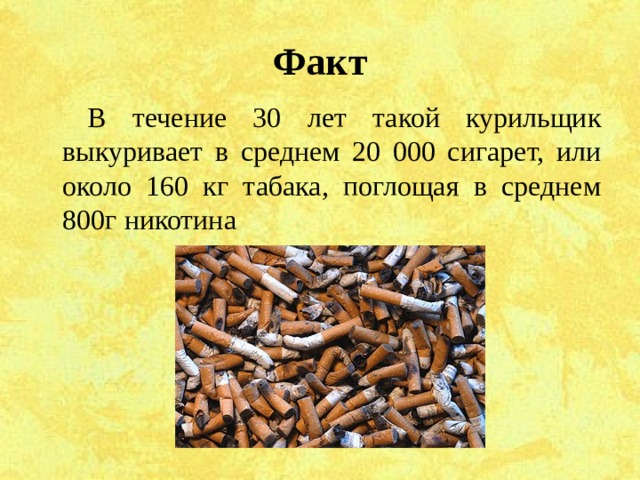 Факт В течение 30 лет такой курильщик выкуривает в среднем 20 000 сигарет, или около 160 кг табака, поглощая в среднем 800г никотина 