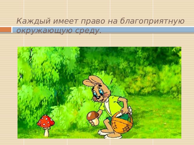 Каждый имеет право на благоприятную окружающую среду. 