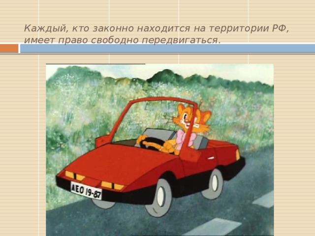 Каждый, кто законно находится на территории РФ, имеет право свободно передвигаться. 