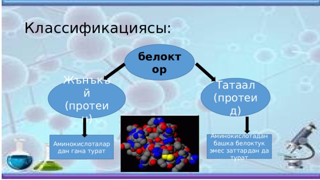Классификациясы: белоктор Татаал (протеид) Жънъкъй (протеин) Аминокислотадан башка белоктук эмес заттардан да турат Аминокислоталардан гана турат 