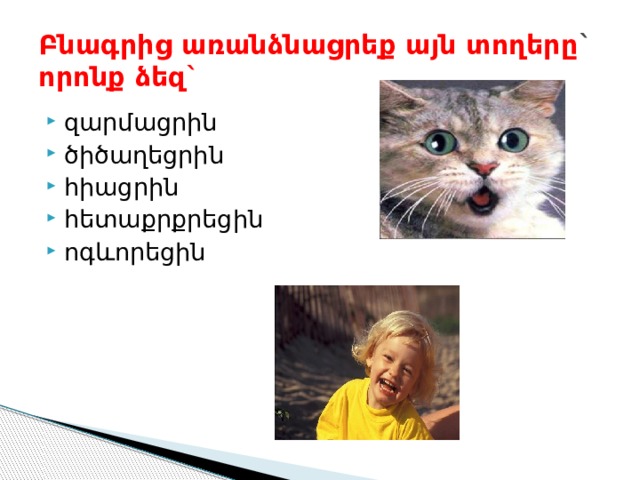Բնագրից առանձնացրեք այն տողերը `  որոնք ձեզ` զարմացրին ծիծաղեցրին հիացրին հետաքրքրեցին ոգևորեցին 