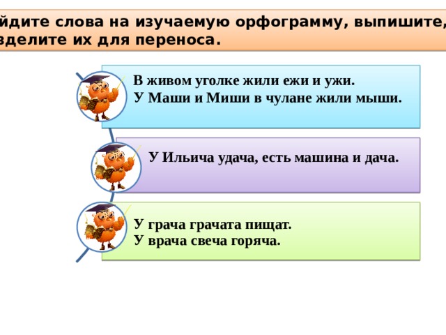 Найдите слова на изучаемую орфограмму, выпишите, разделите их для переноса. В живом уголке жили ежи и ужи.   У Маши и Миши в чулане жили мыши. У Ильича удача, есть машина и дача.     У грача грачата пищат.   У врача свеча горяча. 