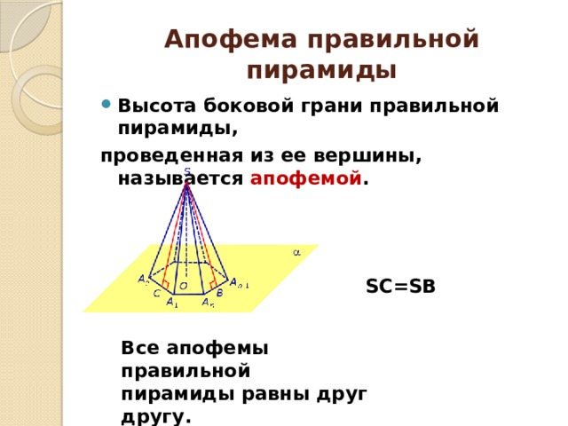 Апофемы пирамиды равны