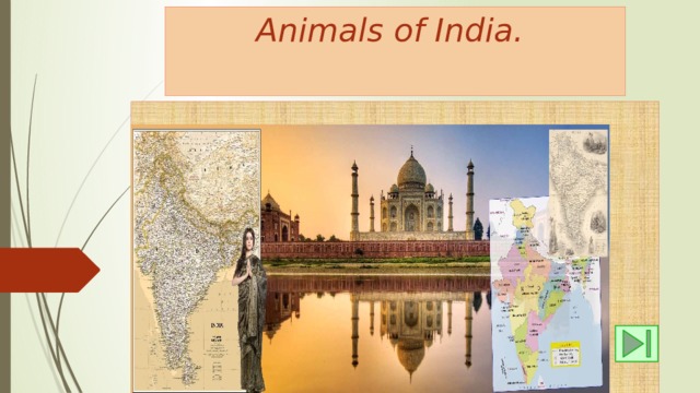 Animals of India. 