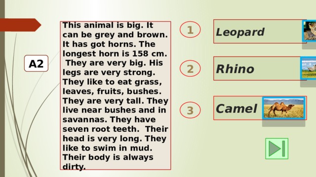 Leopard This animal is big. It can be grey and brown. It has got horns. The longest horn is 158 cm. 1  They are very big. His legs are very strong. They like to eat grass, leaves, fruits, bushes. They are very tall. They live near bushes and in savannas. They have seven root teeth. Their head is very long. They like to swim in mud. Their body is always dirty. А2 Rhino 2 Camel 3 