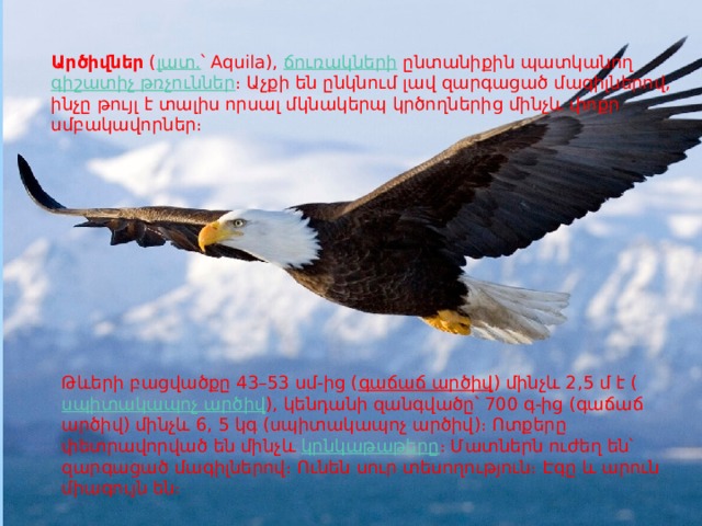 Արծիվներ  ( լատ. ՝ Aquila),  ճուռակների  ընտանիքին պատկանող  գիշատիչ թռչուններ ։ Աչքի են ընկնում լավ զարգացած մագիլներով, ինչը թույլ է տալիս որսալ մկնակերպ կրծողներից մինչև փոքր սմբակավորներ։ Թևերի բացվածքը 43–53 սմ-ից ( գաճաճ արծիվ ) մինչև 2,5 մ է ( սպիտակապոչ արծիվ ), կենդանի զանգվածը՝ 700 գ-ից (գաճաճ արծիվ) մինչև 6, 5 կգ (սպիտակապոչ արծիվ)։ Ոտքերը փետրավորված են մինչև  կրնկաթաթերը ։ Մատներն ուժեղ են՝ զարգացած մագիլներով։ Ունեն սուր տեսողություն։ Էգը և արուն միագույն են։ 