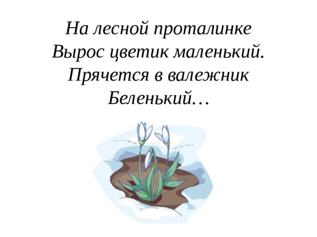 На лесной проталинке  Вырос цветик маленький.  Прячется в валежник  Беленький… 