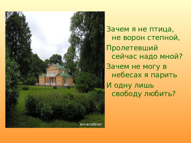 Зачем я не птица, не ворон степной, Пролетевший сейчас надо мной? Зачем не могу в небесах я парить И одну лишь свободу любить? 