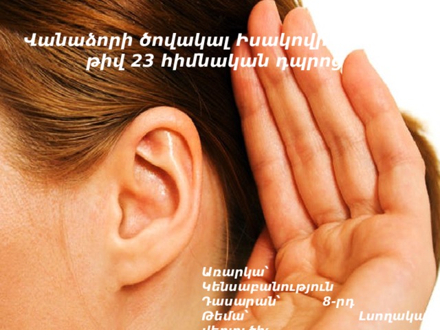 Վանաձորի ծովակալ Իսակովի անվան թիվ 23 հիմնական դպրոց   Առարկա՝ Կենսաբանություն Դասարան՝ 8-րդ Թեմա՝ Լսողական վերլուծիչ Ուսուցչուհի՝ Տաթևիկ Աղաջանյան 