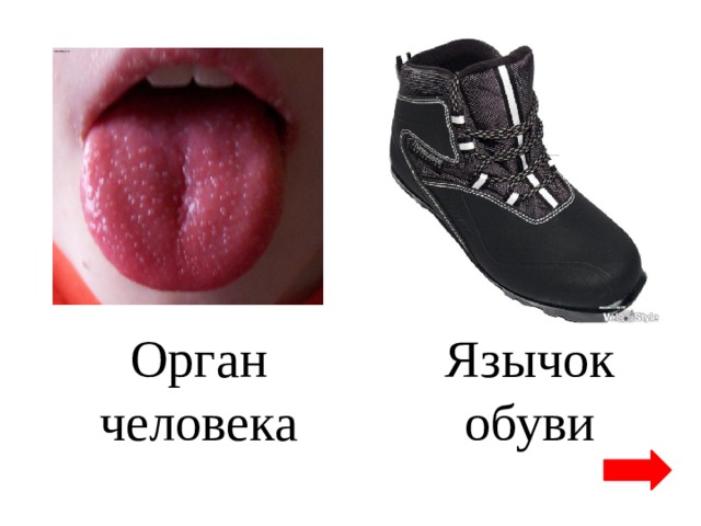 Обувь с языком