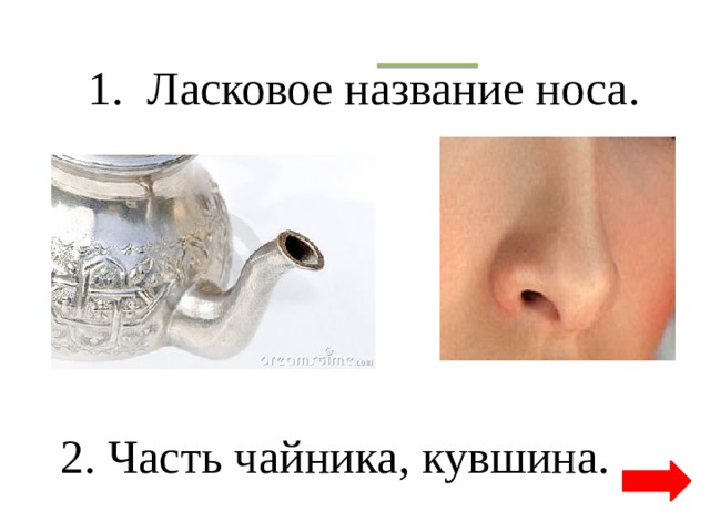 Почему нос назвали носом