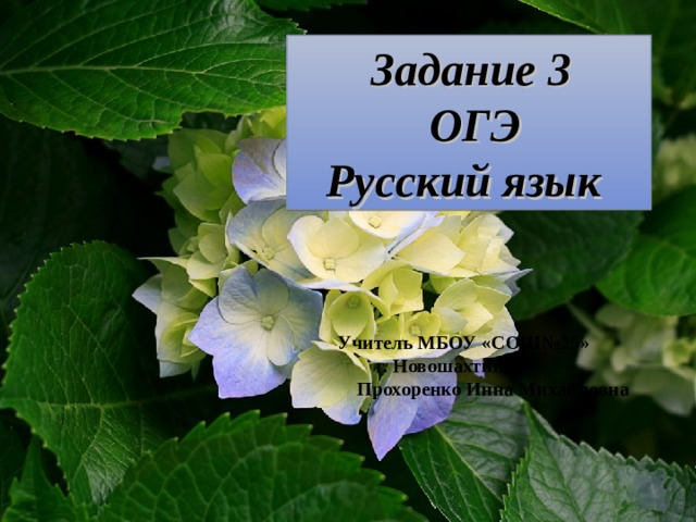  Задание 3  ОГЭ Русский язык   Учитель МБОУ «СОШ№25»  г. Новошахтинск  Прохоренко Инна Михайловна 