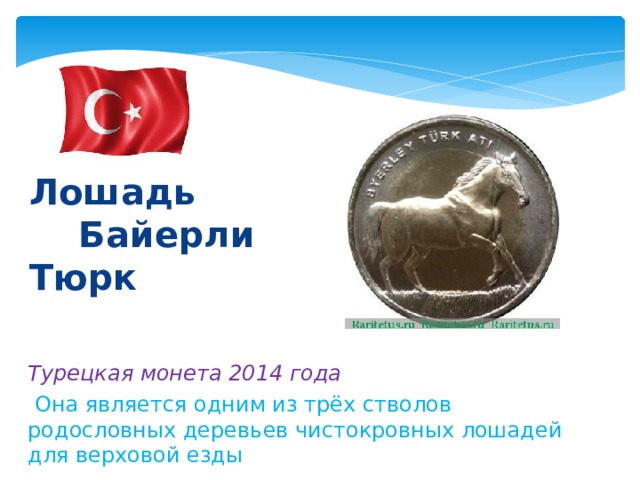  Лошадь  Байерли Тюрк Турецкая монета 2014 года   Она является одним из трёх стволов родословных деревьев чистокровных лошадей для верховой езды 
