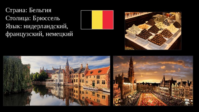 Страна: Бельгия  Столица: Брюссель  Язык: нидерландский, французский, немецкий 