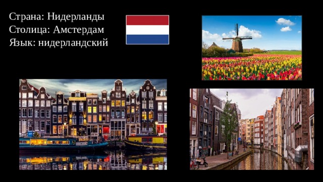 Страна: Нидерланды  Столица: Амстердам  Язык: нидерландский 