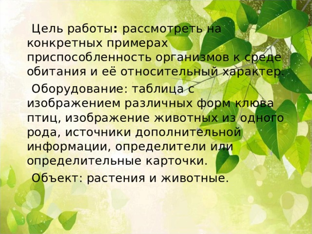 Приспособленность организмов к действию факторов среды презентация 9 класс