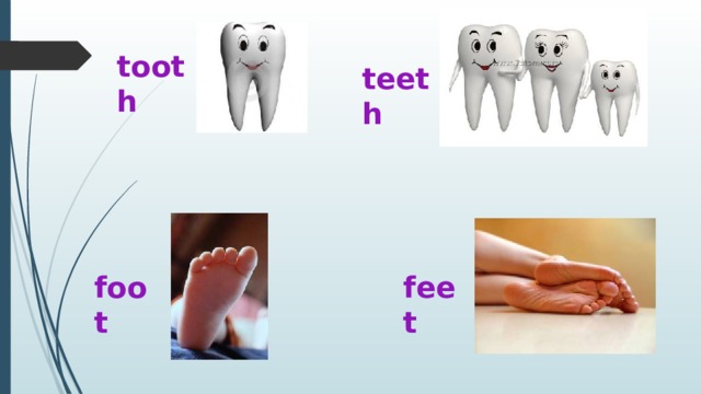 tooth teeth foot feet 