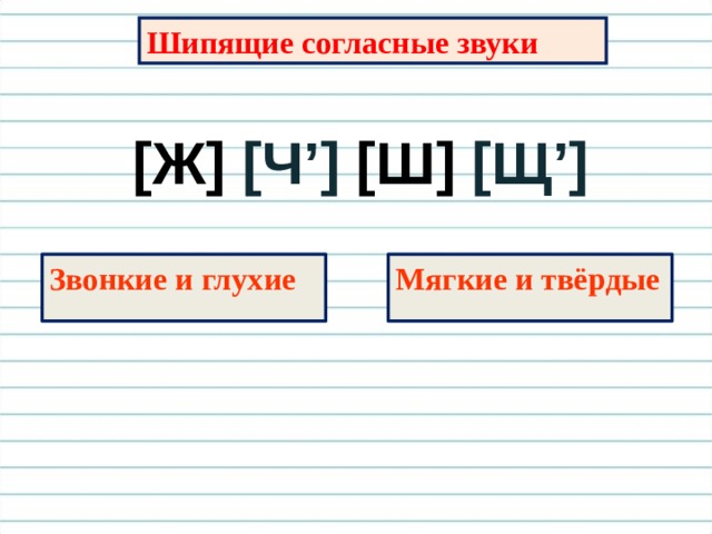 Правописание сочетаний чк чн шипящие согласные звуки