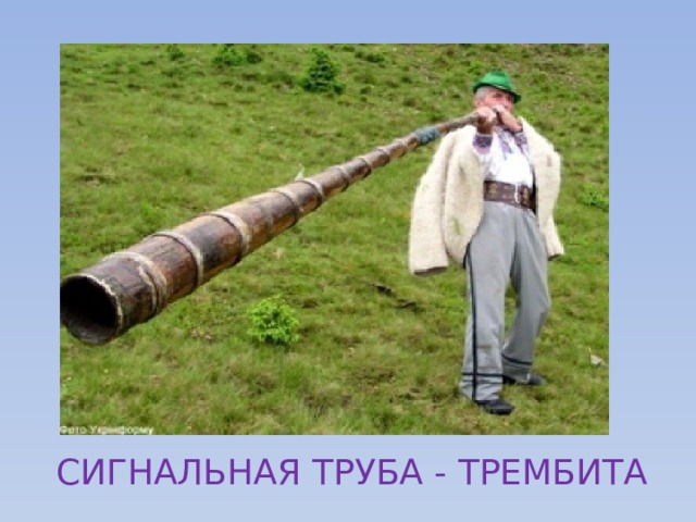 СИГНАЛЬНАЯ ТРУБА - ТРЕМБИТА