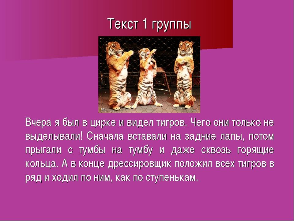 Язык цирка. Сочинение на тему цирк. Рассказ про цирк. Эссе на тему цирк. Текст на тему я был в цирке.