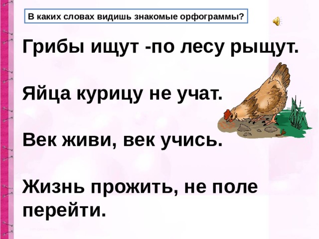 В каких словах видишь знакомые орфограммы? Грибы ищут -по лесу рыщут.  Яйца курицу не учат.  Век живи, век учись.  Жизнь прожить, не поле перейти. 