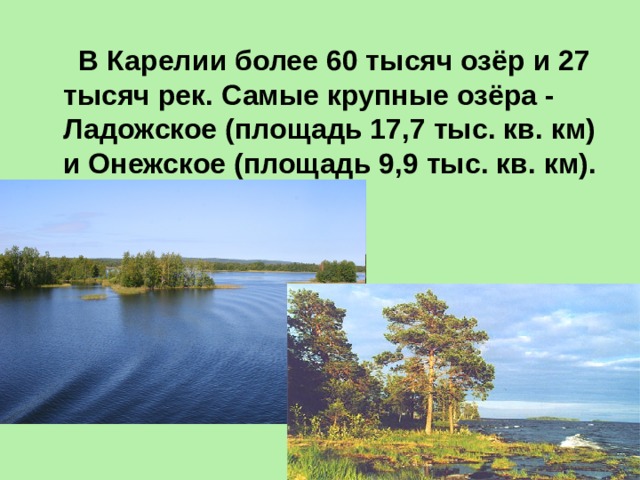 Республика тысячи озер. Природа Карелии презентация. Карелия край тысячи озер. Самые большие озера Карелии. Главное озеро Карелии.