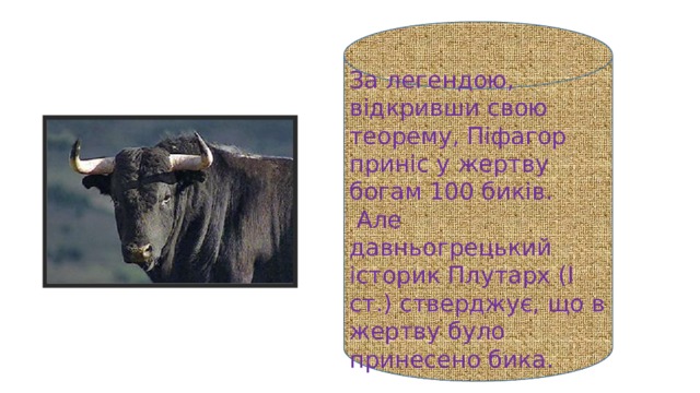 За легендою, відкривши свою теорему, Піфагор приніс у жертву богам 100 биків.  Але давньогрецький історик Плутарх (І ст.) стверджує, що в жертву було принесено бика. 