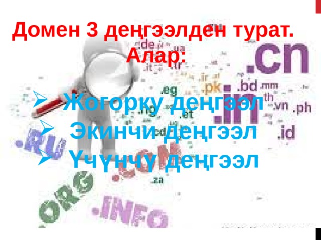 Домен 3 деңгээлден турат.  Алар: Жогорку деңгээл Экинчи деңгээл Үчүнчү деңгээл 